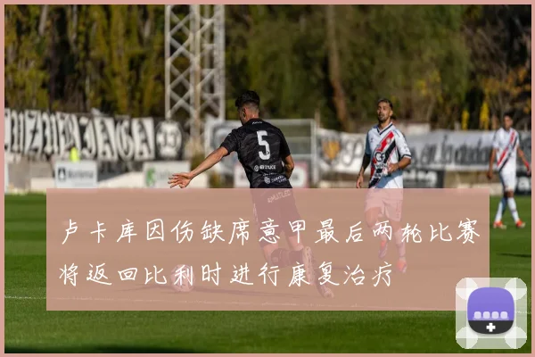 卢卡库因伤缺席意甲最后两轮比赛将返回比利时进行康复治疗